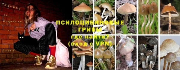 ГАЛЛЮЦИНОГЕННЫЕ ГРИБЫ Зерноград