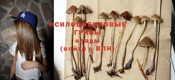ГАЛЛЮЦИНОГЕННЫЕ ГРИБЫ Зерноград